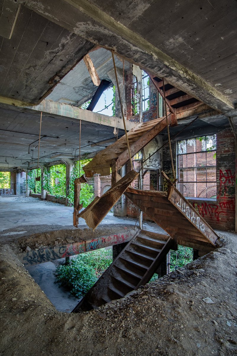 Mr. P. Explores tweet media