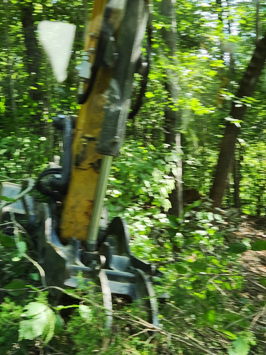 voldog19's tweet photo. This is what me &amp; my kiddo has been doing for the past 3 days. Clearing 2.5 acres I gave him. I  run the excavator and he runs the skid steer. Working daylight to dark wirh our normal jobs in between. Proud of the man he has be come. Instill hard work in kids when they're young. https://t.co/2mqpcAVWea