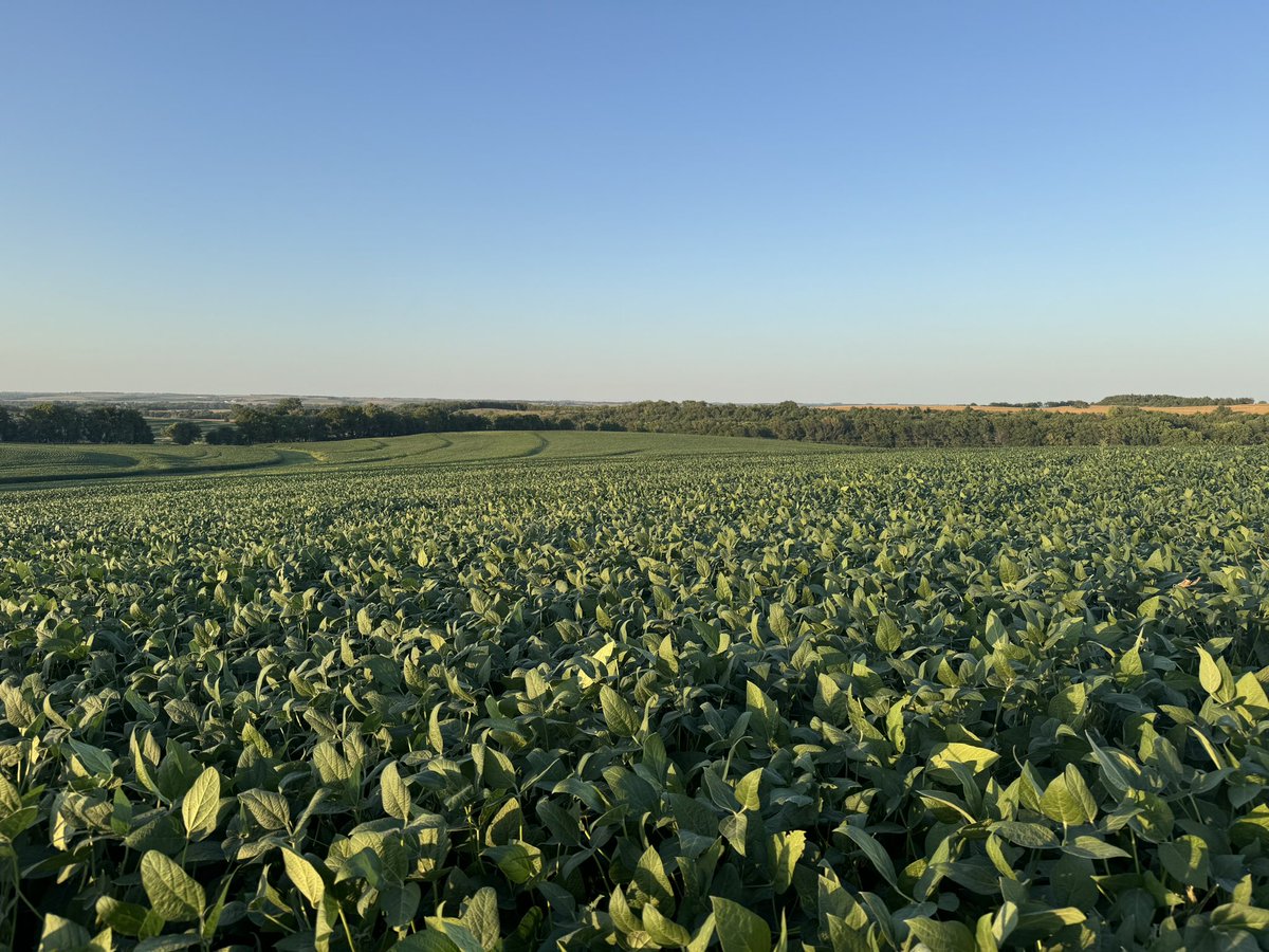 Zack Youngquist tweet media