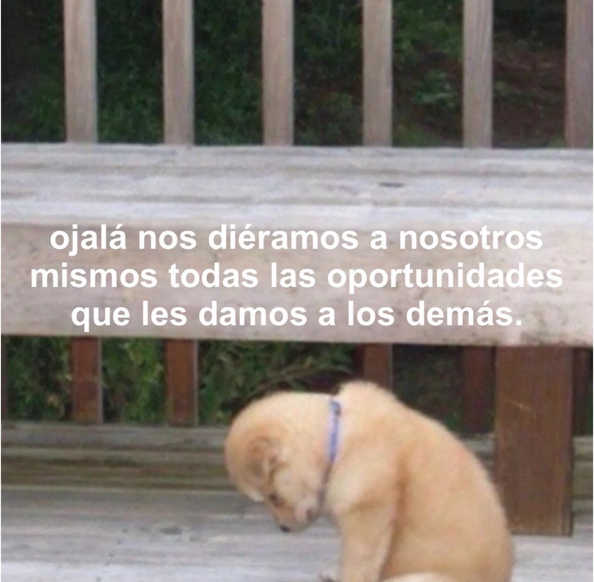 conoloracigarro's tweet photo. https://t.co/2mznRsTxJF