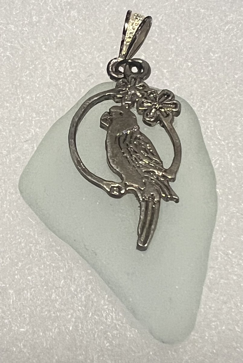 TeriE's tweet image. UNIQUE #BeachSea #SeaGlass Bird Pendant #Parrot Tropical Bird 1.5" Silver Tone Vintage FREE SHIP

#ebayfinds #tropical #parrotlovers #birds #tropicalbird #beachvibes #uniquejewelry #funfashion #gifts #uniquegifts #birdjewelry #parrots #jewelry 

 ebay.com/itm/2669773281…