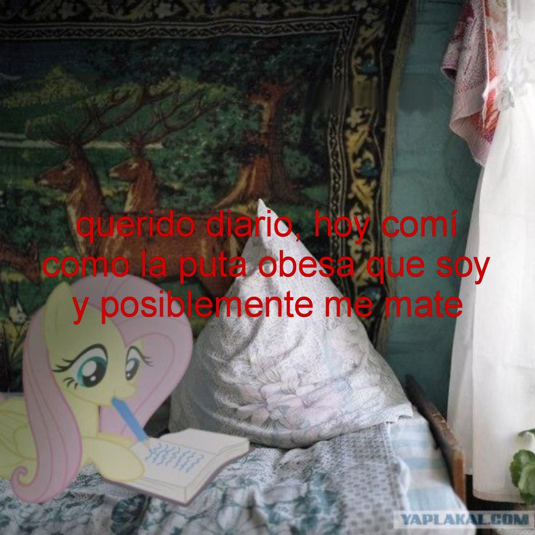 ִֶָ𓂃 ࣪˖ ִֶָ🐇 tweet media