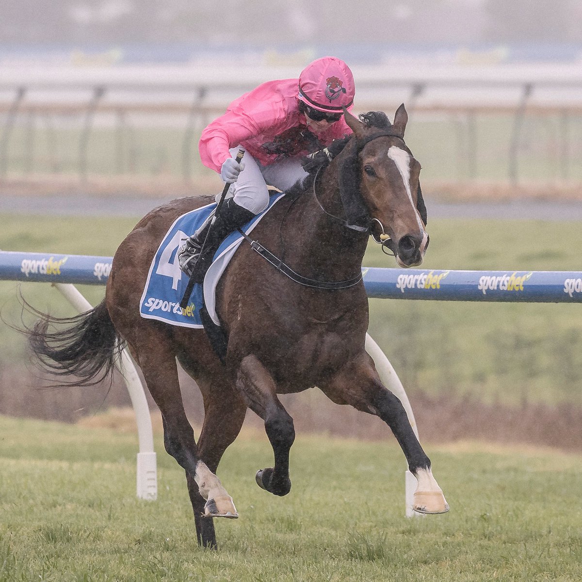 Morphettville Racecourse (@sajockeyclub) on Twitter photo We are officially four days into Spring, so why not wipe those Winter blues away in the sunshine trackside this Saturday.
After back-to-back wins on the heavy tracks, can the <a href="/BalfourRyan/">Ryan Balfour</a>-trained Quanah make it a threepeat of wins?
Get your tickets for Saturday's racing here - We are officially four days into Spring, so why not wipe those Winter blues away in the sunshine trackside this Saturday.
After back-to-back wins on the heavy tracks, can the <a href="/BalfourRyan/">Ryan Balfour</a>-trained Quanah make it a threepeat of wins?
Get your tickets for Saturday's racing here -