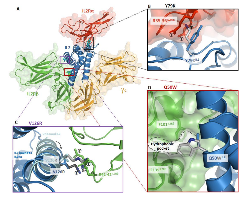 Waggoner Lab tweet media