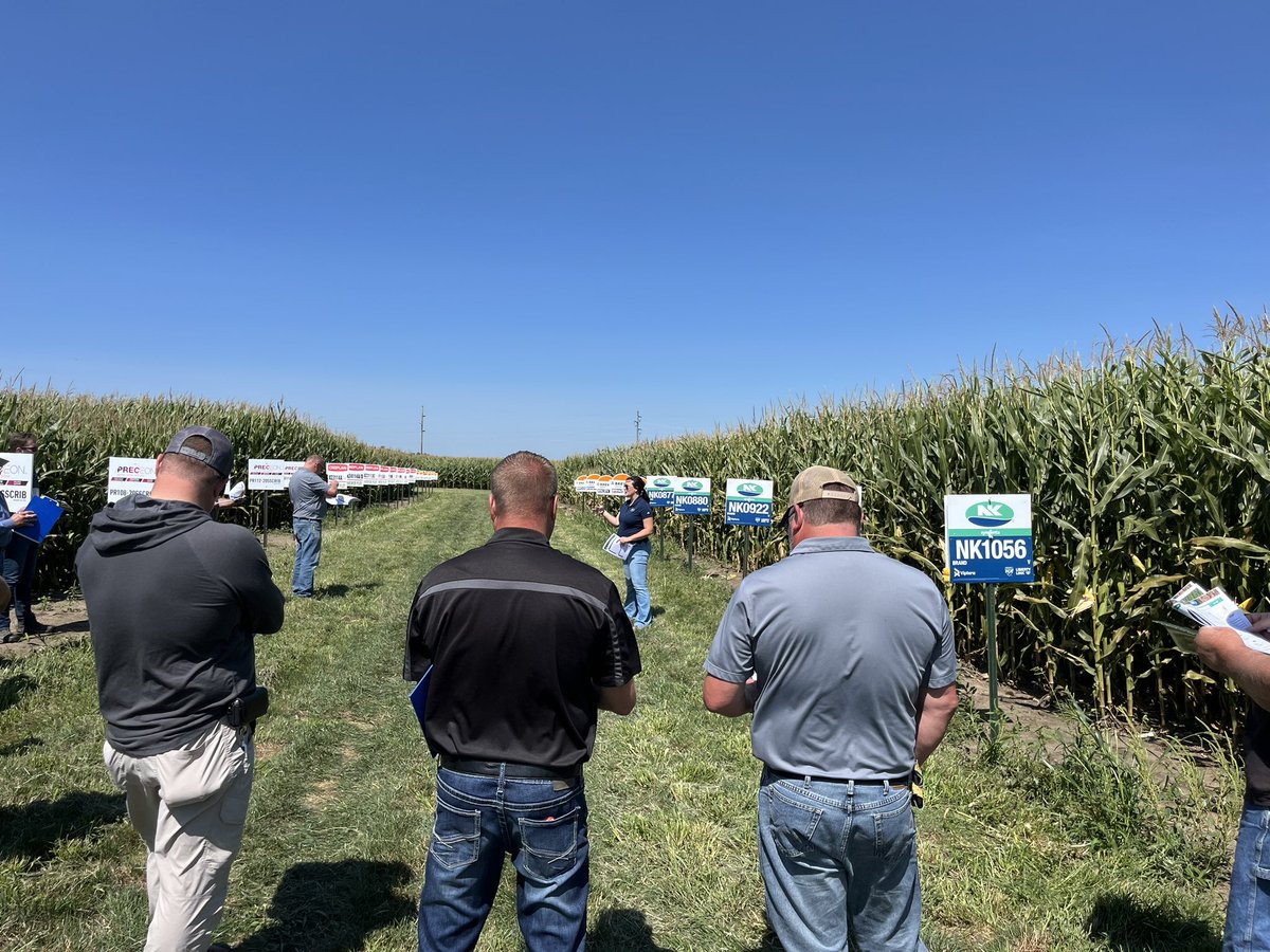 Mike Egger tweet media