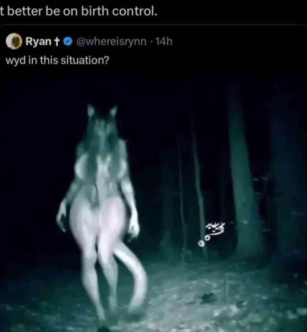 CraigboldTheGoblin 🔌 🐇 (@craigboldg) on Twitter photo 
