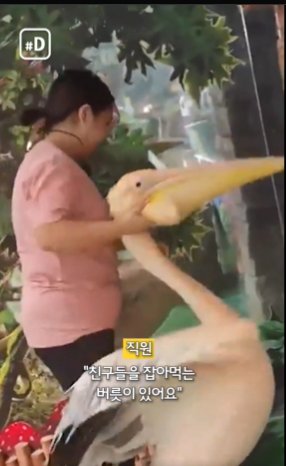 이거 신준으로 트레하고 싶다
신들을 잡아먹는 버릇이 있어요