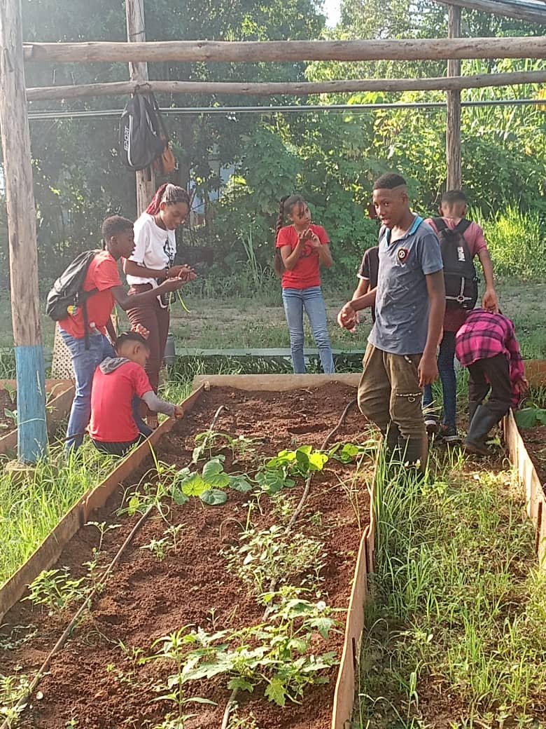 PrudencioFonse2's tweet photo. Hermosa mañana la que se vivió hoy en #Boyeros cuando se retoma la vinculación Estudio - Trabajo con el inicio  de la escuela al campo. @IzquierdoAlons1 @YanetHzP  
@HectorMichel85  @DirectEducaH #LaHabanaDeTodos #JuntosPodemosMas https://t.co/vtNJezaJO8