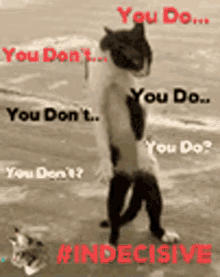 Michael Taylor (@mctay01) on Twitter photo 