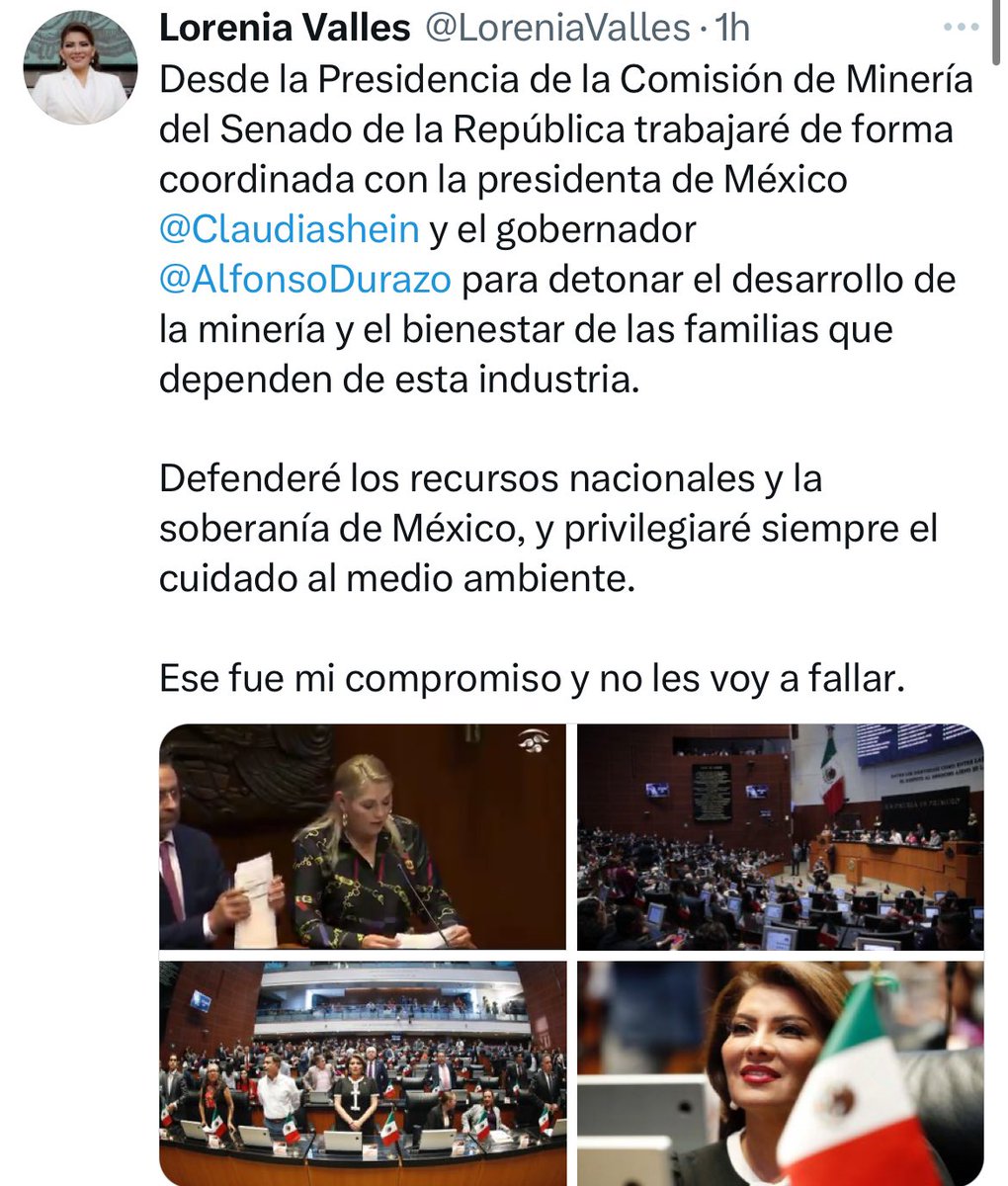 solangelochoa's tweet photo. La senadora por Sonora, @LoreniaValles, encabezará la Comisión de Minería en el @senadomexicano.

La senadora aseguró que desde la Comisión de Minería trabajará para atraer más y mejores inversiones; garantizar la soberanía nacional, protegiendo los recursos mineros nacionales; cuidar el medio ambiente; y desde luego, asegurar el bienestar de las y los trabajadores del sector y sus familias a través de salarios justos
y seguridad social, así como detonar el desarrollo municipal y regional en las zonas mineras.