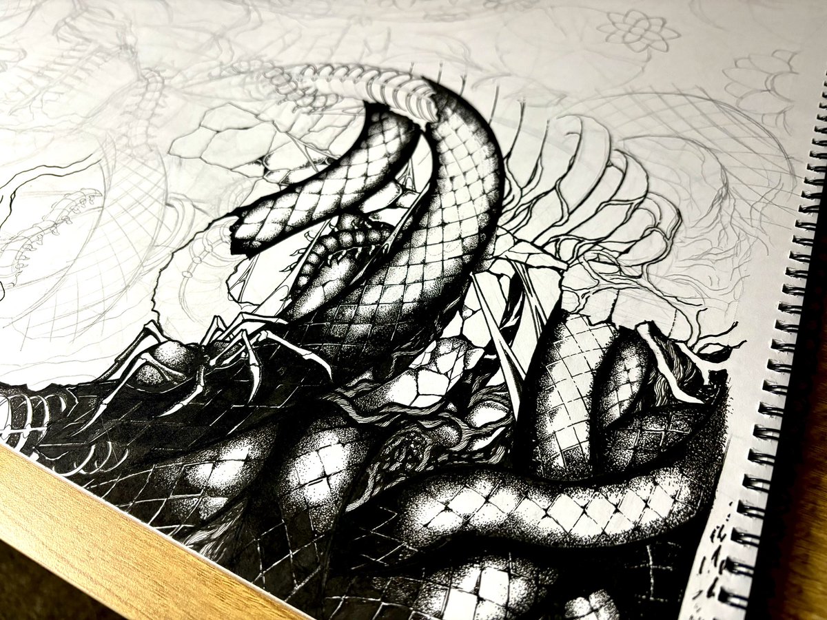 🕷️🕷️🕷️