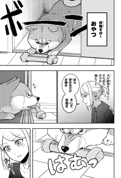 家賃4800円の部屋に、柴犬がとにかくいっぱい「出る」話(9/19) 