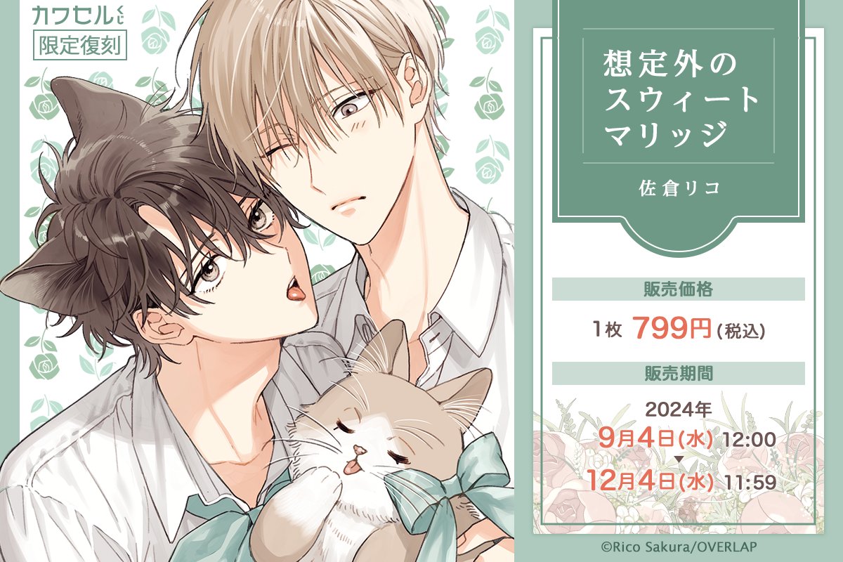 けもみみシリーズ　佐倉リコ　吠崎志狼　宇佐美黒兎　くじ 佐倉リコ「けもみみシリーズ」新刊発売記念オンラインくじが発売決定