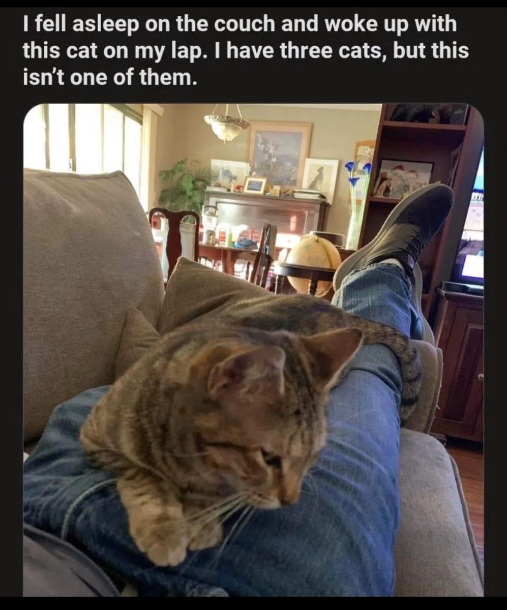 Respectful Memes (@respectfulmemes) on Twitter photo 