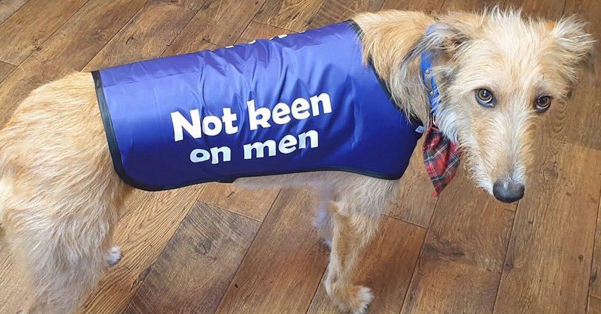 this season, in conclusion:

#thebachelorette