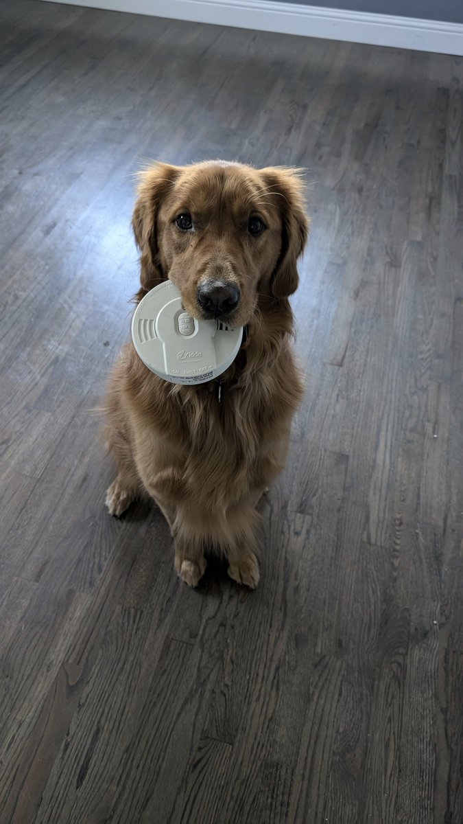 Look dad. I'm helping!