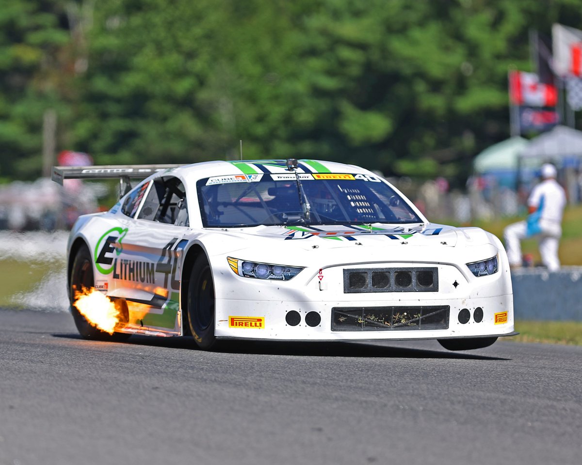 🇨🇦CDN-R🇨🇦 tweet media