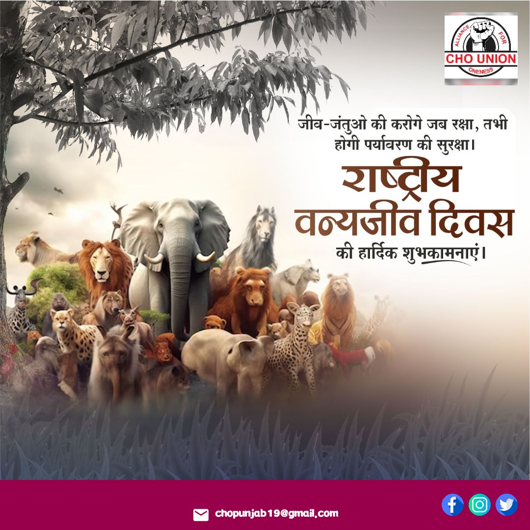 इस विश्व वन्यजीव दिवस पर, आइए हम लुप्तप्राय प्रजातियों की रक्षा करने और भावी पीढ़ियों के लिए हमारे ग्रह की जैव विविधता को संरक्षित करने का संकल्प लें।
#nationalwildlifeday
<a href="/targotra_sunil/">Sunil Targotra</a> <a href="/DrPreetMakhija/">Preet Makhija</a> <a href="/jaskaur226/">Jais Kaur</a> <a href="/drjatinder36568/">dr jatinder</a> <a href="/vivacious_DS/">Deepshikha kashyap</a> <a href="/BhagwantMann/">Bhagwant Mann</a> <a href="/Kuldeep08243126/">Kuldeep Gill</a>