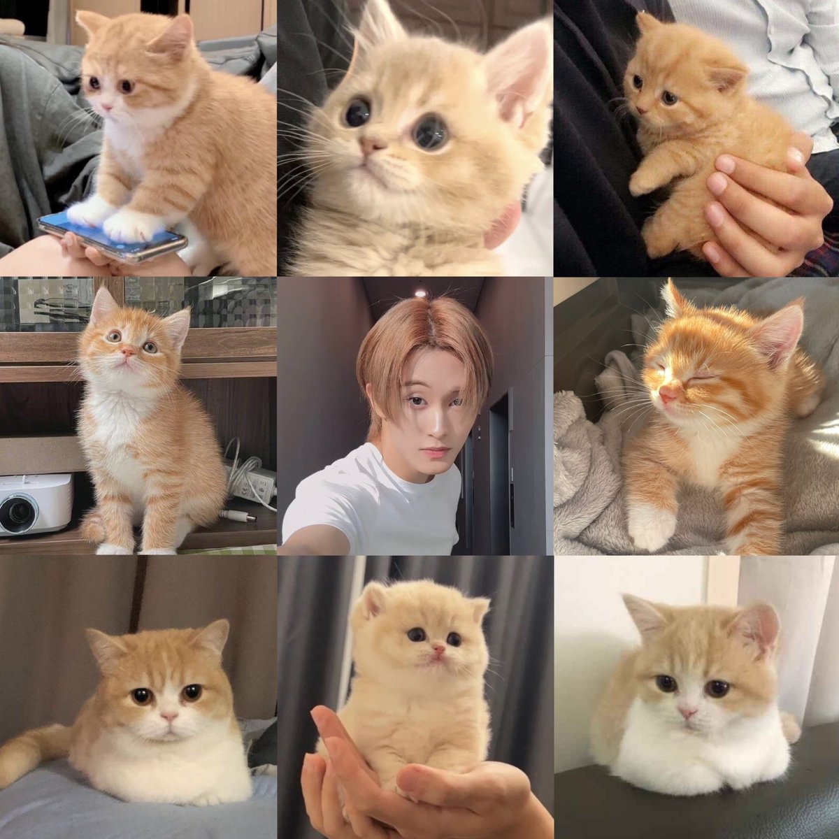 triblethru's tweet photo. love you so meow 🤍🐈🐈‍⬛ https://t.co/n4s2nEFAr8