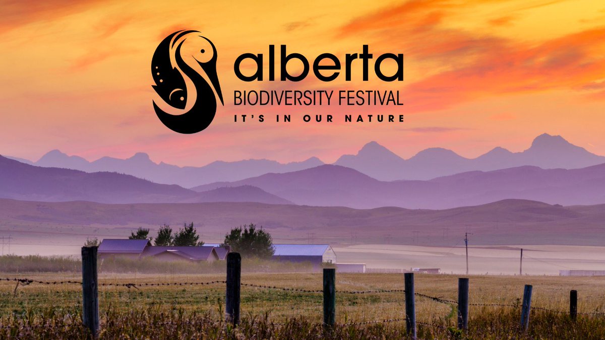 Bow Habitat Station (@bowhabitat) on Twitter photo Aaah-mazing Alberta! Join us on September 14, 2024, for the Alberta Biodiversity Festival with the <a href="/WilderInstitute/">Wilder Institute</a>/<a href="/calgaryzoo/">Calgary Zoo</a>! Explore Alberta’s wild side with 10+ exhibitors and more. Don’t miss out—get your tickets NOW! bit.ly/AlbertaBiodive… Aaah-mazing Alberta! Join us on September 14, 2024, for the Alberta Biodiversity Festival with the <a href="/WilderInstitute/">Wilder Institute</a>/<a href="/calgaryzoo/">Calgary Zoo</a>! Explore Alberta’s wild side with 10+ exhibitors and more. Don’t miss out—get your tickets NOW! bit.ly/AlbertaBiodive…