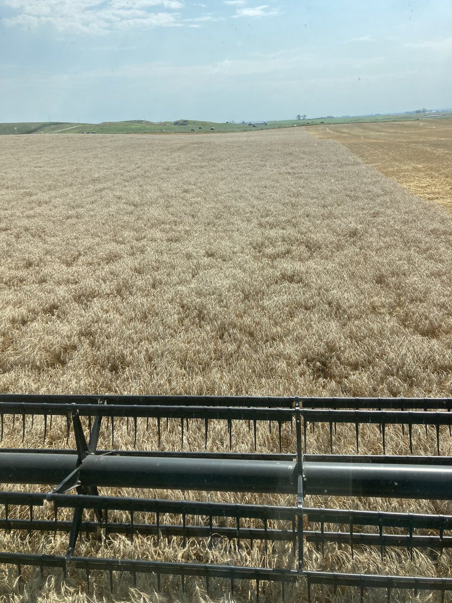 Price isn’t worth a shit but it’s running pretty good.