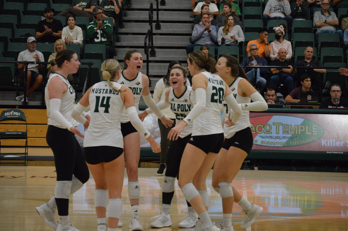 ‘They have all the experience from last year’: How Cal Poly Volleyball looks to secure a Big West Championship in 2024 dlvr.it/TCnQdL