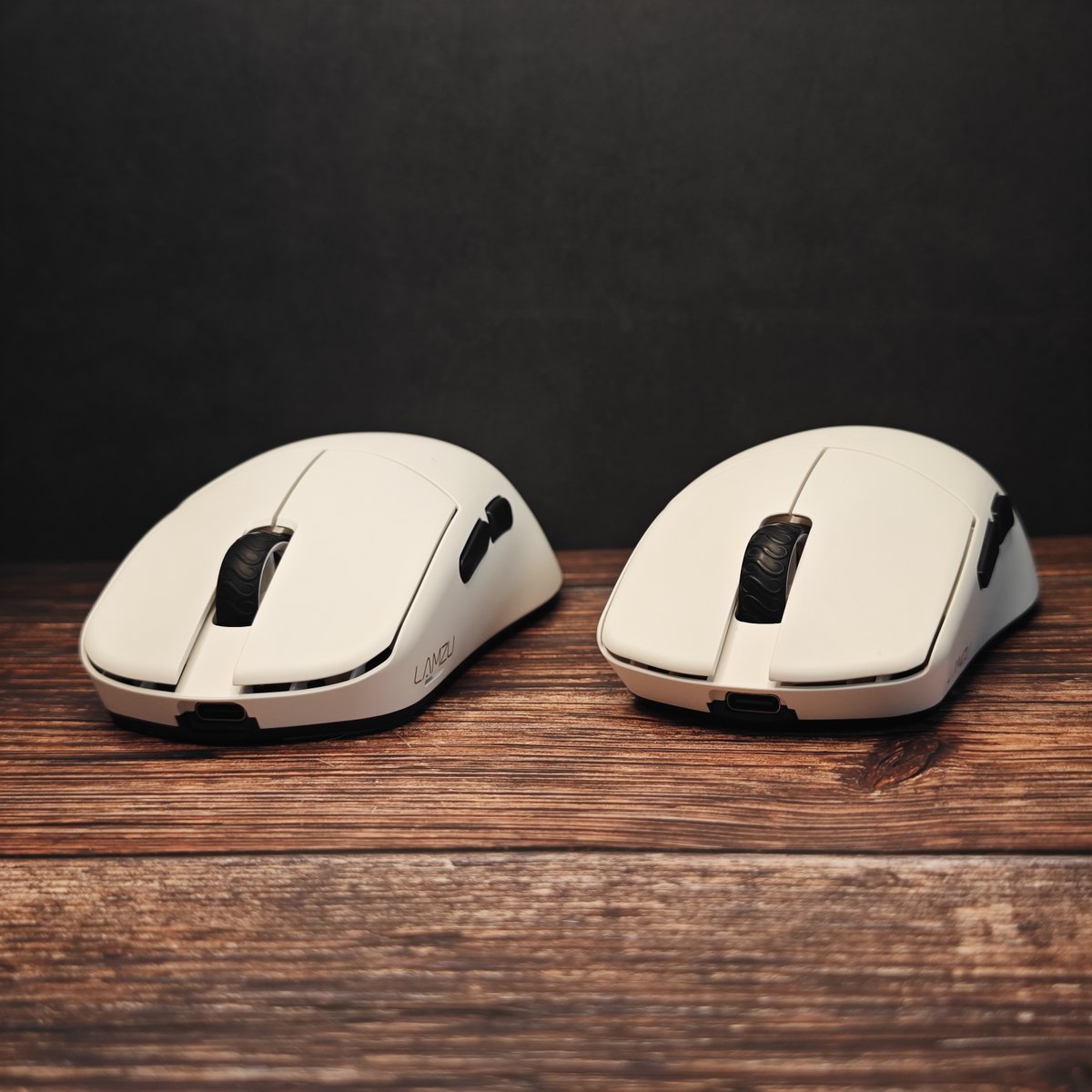 ←Maya X →Maya 正面から📷 写真だとやや伝わりにくいですが、サイド