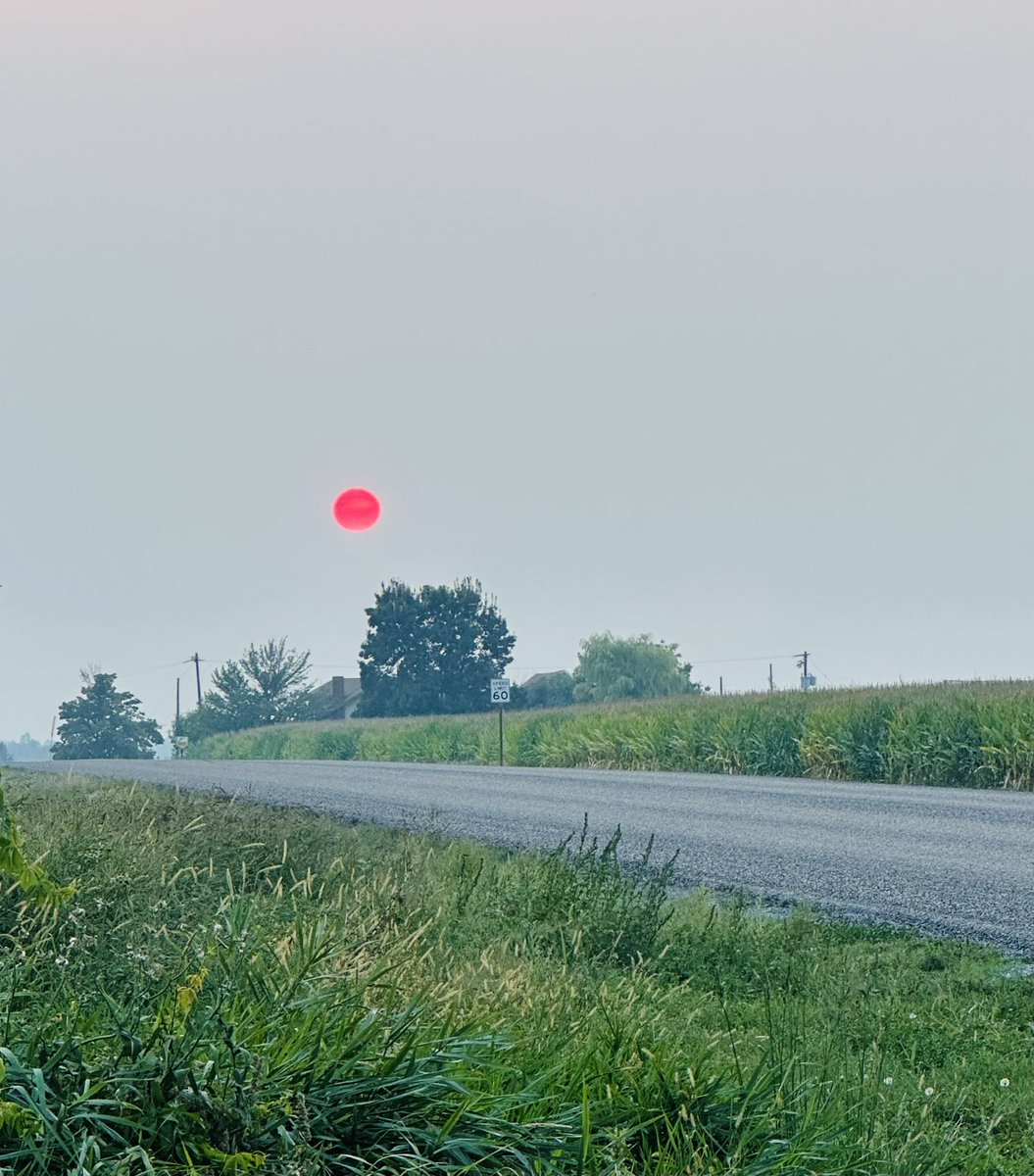 steph_crimson's tweet image. Pink sun above a corn field. 💕🩷 The pink sun is pretty but I hope these fires in Idaho will be under control soon. 

#pinksun #countryliving #farmfields #idaho
