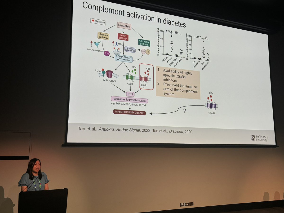 Dr Min Tan <a href="/sihmin_tan/">Sih Min Tan</a> presenting at the ANZSN ASM about the enigmatic Complement 5a receptor 2 in diabetic kidney disease  @ANZSNasm <a href="/MonashSTM/">Translational Medicine at Monash University</a>