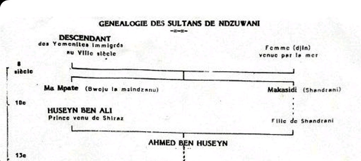AlMuaadIsfahani's tweet photo. La femme djin fut la femme Beja venue de #Mzamboro qui alla voir sa famille paternel à #Domoni. Le yemenite, Ahmad al Abadya. Le fondateur de #Shaweni, #Hinzwani. Ahmed (Mwarabu) b. Husayn b. 'Ali fut le mari de Masingo, fondatrice de #Chingoni => #Tsingoni, #Maore. https://t.co/mvIUjk6VnB