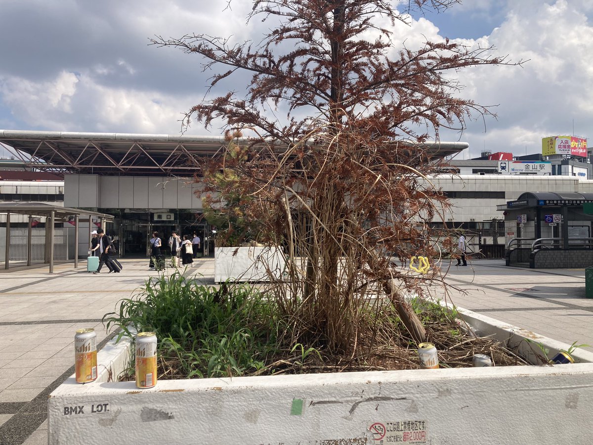 shinsakae8's tweet image. 昨日みんなで金山清掃しても１日でこれです。
日本人だと思うのね。
コンビニで買っていると思うから戻すだけなんだけどなあ。