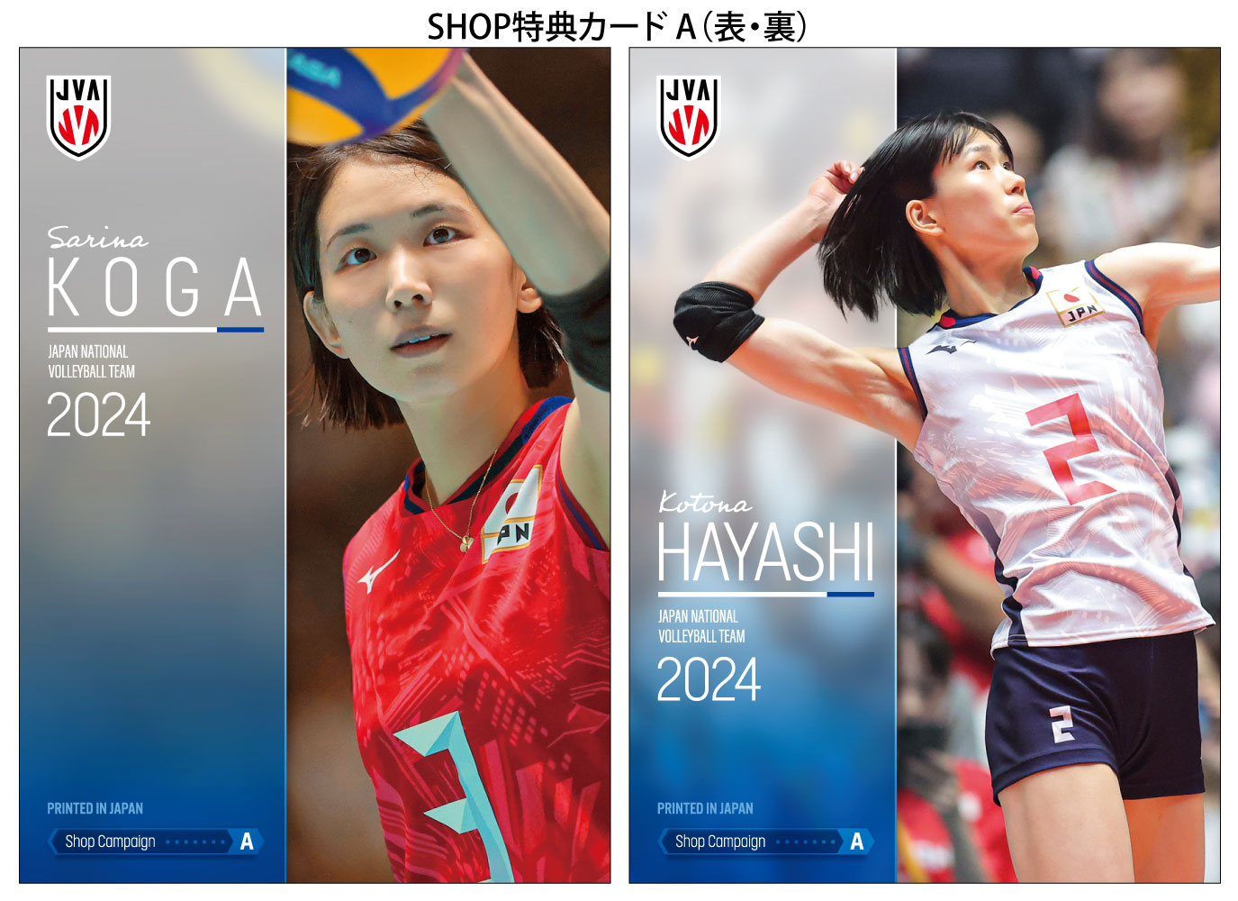 2022 火の鳥NIPPON 林琴奈 直筆ボールサインカード バレーボール女子