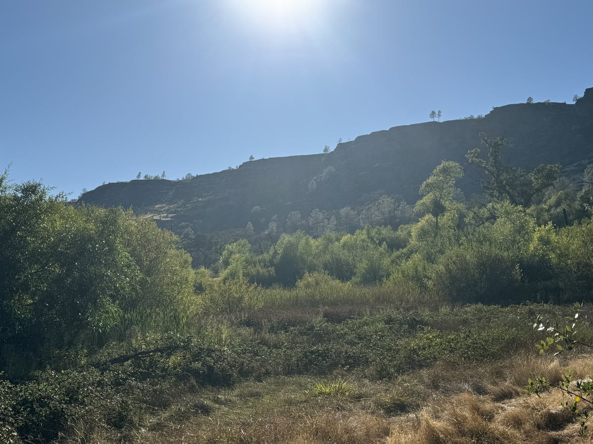 CALFIRE_ButteCo's tweet photo. The #centervillefire is currently 75% contained. One engine to remain at scene overnight in patrol status. A day shift of resources will be at scene tomorrow mopping up, griding and pulling hoselays.
#cooperativefireprotection https://t.co/EOAnywoQGc
