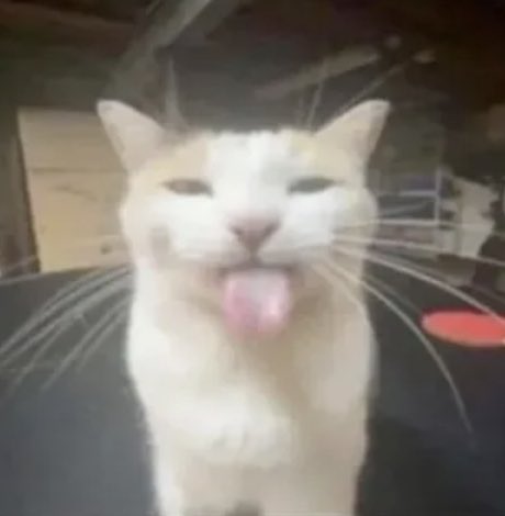 BongoDude_'s tweet photo. Blehh https://t.co/nIpTDesCyR