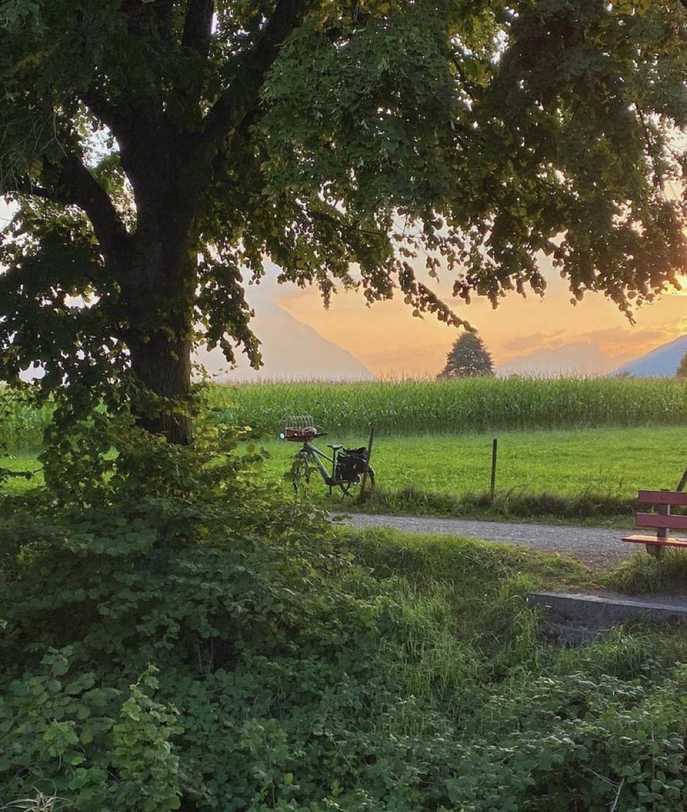 من أعظم نعم الله :ان تصبح وتمسي 
وانت معافى فهي نعمة لا يدركها 
الا من يفتقدها ،الحمد لله عدد خلقه 
ورضى نفسه وزنة عرشه ومداد كلماته 🌿

         صباح الخير 🙏🏻🩷