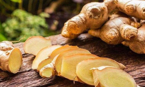 Lợi Đất Tổ Vlogs tweet media