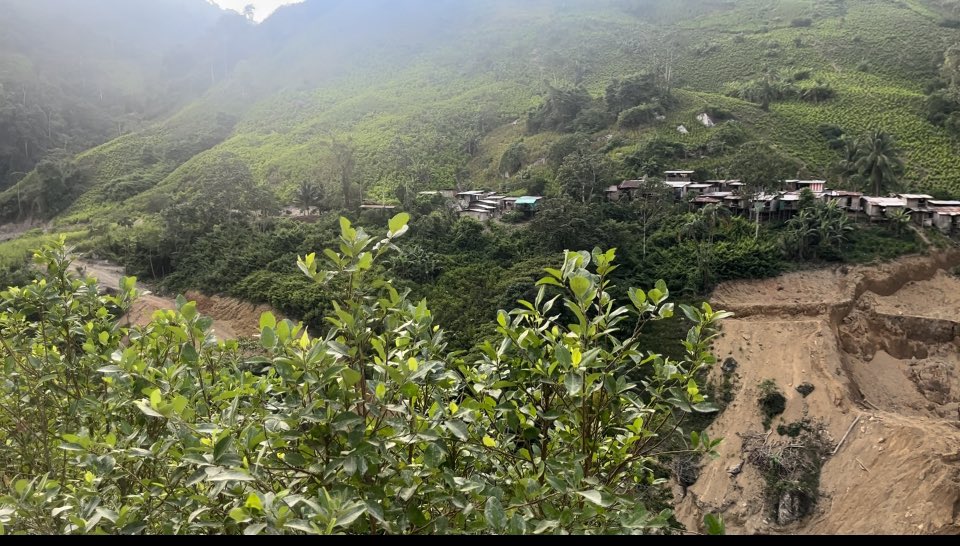 Acabamos de salir del Cañón del Micay. La arroba de la hoja de coca pasó de $20000 a $50000  y el precio de la pasta de base de coca (gr )pasó de $1700 a $2700 . Le advertimos al Gobierno y no nos escuchó. Insistir en la guerra y la Misión Cauca seria un fracaso.