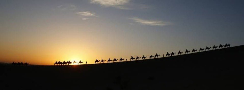 عبدالعزيز . tweet media