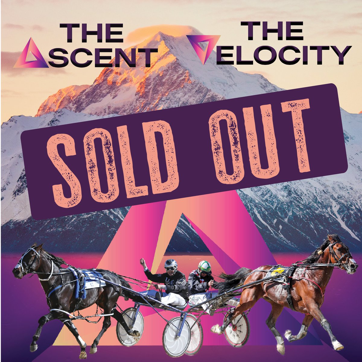Harness Racing NZ (@harnessracingnz) on Twitter photo The "Sold Out" signs are out for the first ever slot races to be held as part of the Show Day Twilight races at Addington Raceway on November 15.
<a href="/AddingtonNZ/">Addington Raceway & Events Centre</a>
Catch up on all the details here: tinyurl.com/dwstass9 The "Sold Out" signs are out for the first ever slot races to be held as part of the Show Day Twilight races at Addington Raceway on November 15.
<a href="/AddingtonNZ/">Addington Raceway & Events Centre</a>
Catch up on all the details here: tinyurl.com/dwstass9