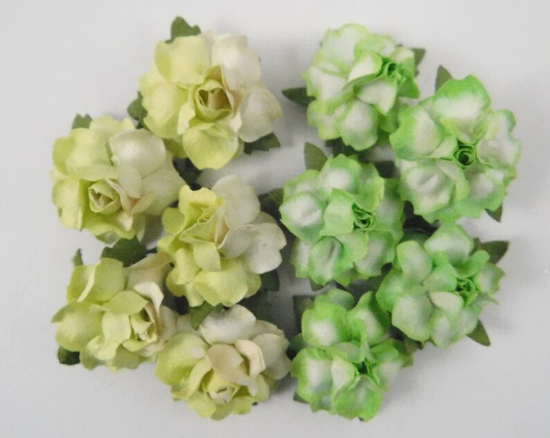 annimae9's tweet image. Scrapbooking Paper Flowers with stems Small Fancy Roses Green Yellow craft supplies scrapbook supplies bouquet roses cardmaking supplies #bountifulcreating #scrapbooksuppliesandmore #paperflowers #smallfancyroses #greenandyellow  bit.ly/45hSXc2
