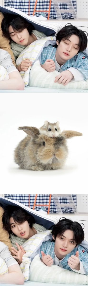 LENA⁸⋆🎸| SEEING SKZ ! (@kwokasung) on Twitter photo 