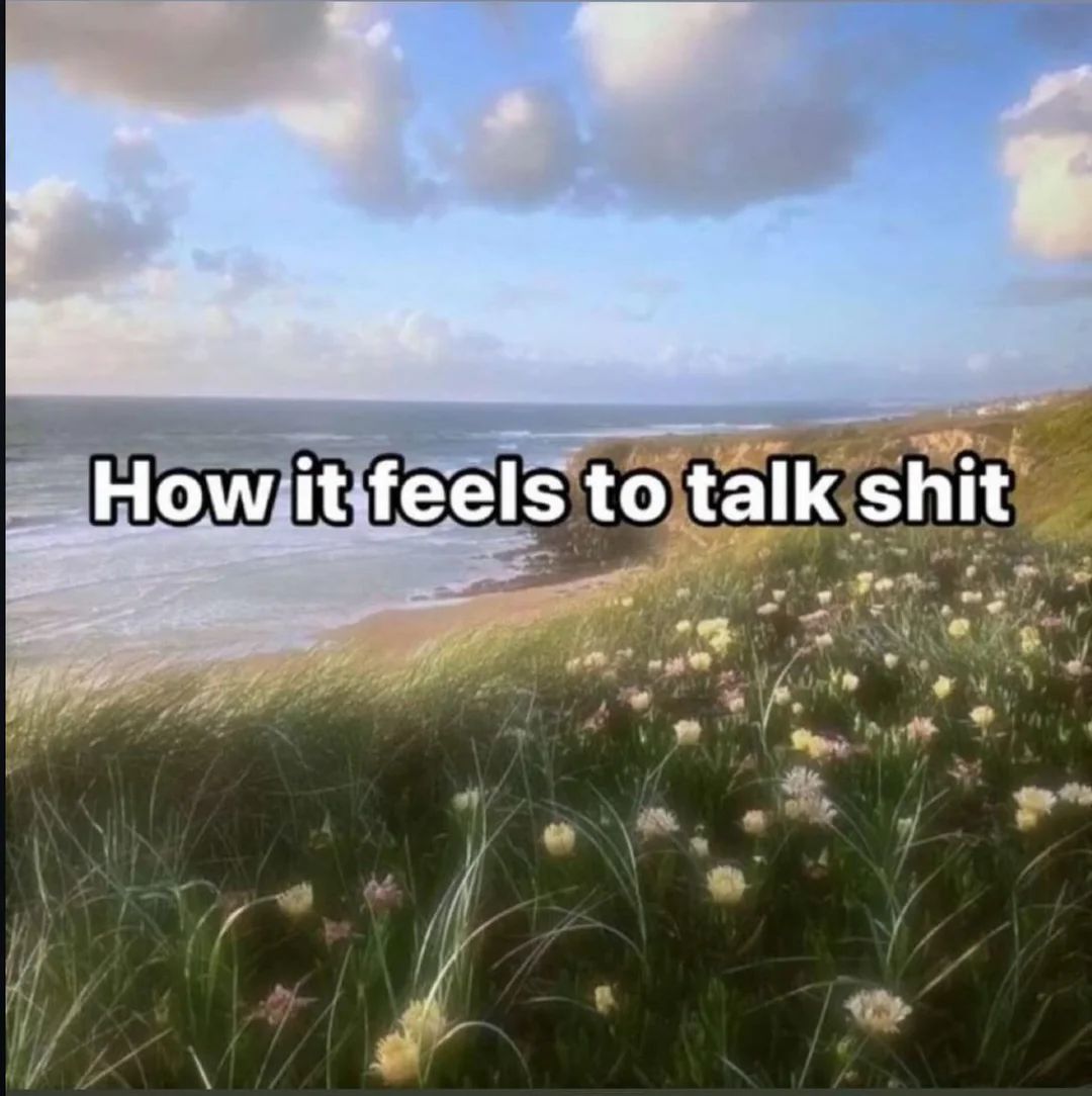 🕐HOURLY🕑 shitpost tweet media