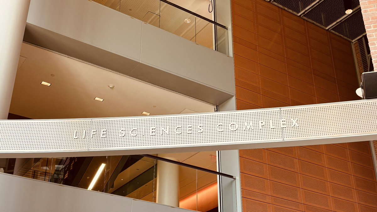 Martin Knytl tweet media