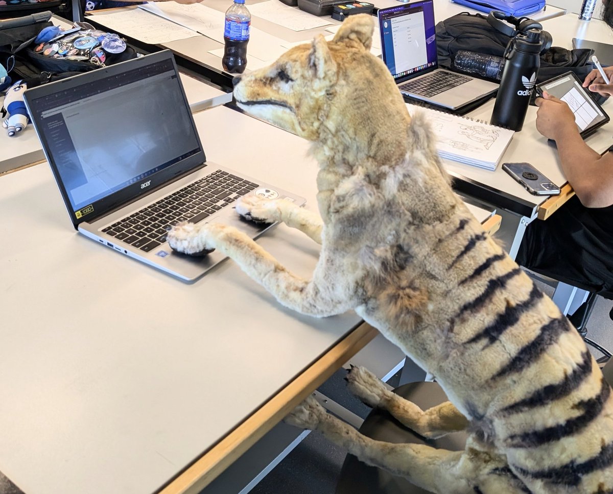 _Archesuchus_'s tweet photo. She's hard at work, don't bother her. https://t.co/0mwZcBTxgZ