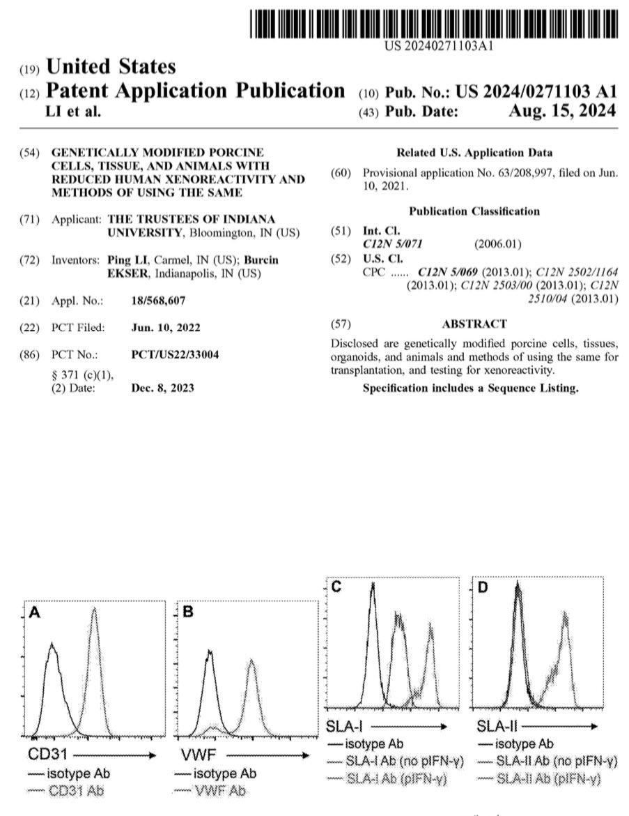 Burcin Ekser, MD, PhD (@burcinekser) on Twitter photo I am proud and humble with the below #patent in #xenotransplantation research which confirms me as an #inventor one more time ✌️. Thanks to @IUPUI <a href="/IUMedSchool/">IU School of Medicine</a> <a href="/IU_Surgery/">Indiana Surgery -Indiana Univ School of Medicine</a>. Great things will happen… <a href="/ASTSChimera/">ASTS</a> <a href="/_ILTS_/">ILTS</a> <a href="/ttsorg/">TTS</a> <a href="/AASLDtweets/">AASLD</a> I am proud and humble with the below #patent in #xenotransplantation research which confirms me as an #inventor one more time ✌️. Thanks to @IUPUI <a href="/IUMedSchool/">IU School of Medicine</a> <a href="/IU_Surgery/">Indiana Surgery -Indiana Univ School of Medicine</a>. Great things will happen… <a href="/ASTSChimera/">ASTS</a> <a href="/_ILTS_/">ILTS</a> <a href="/ttsorg/">TTS</a> <a href="/AASLDtweets/">AASLD</a>