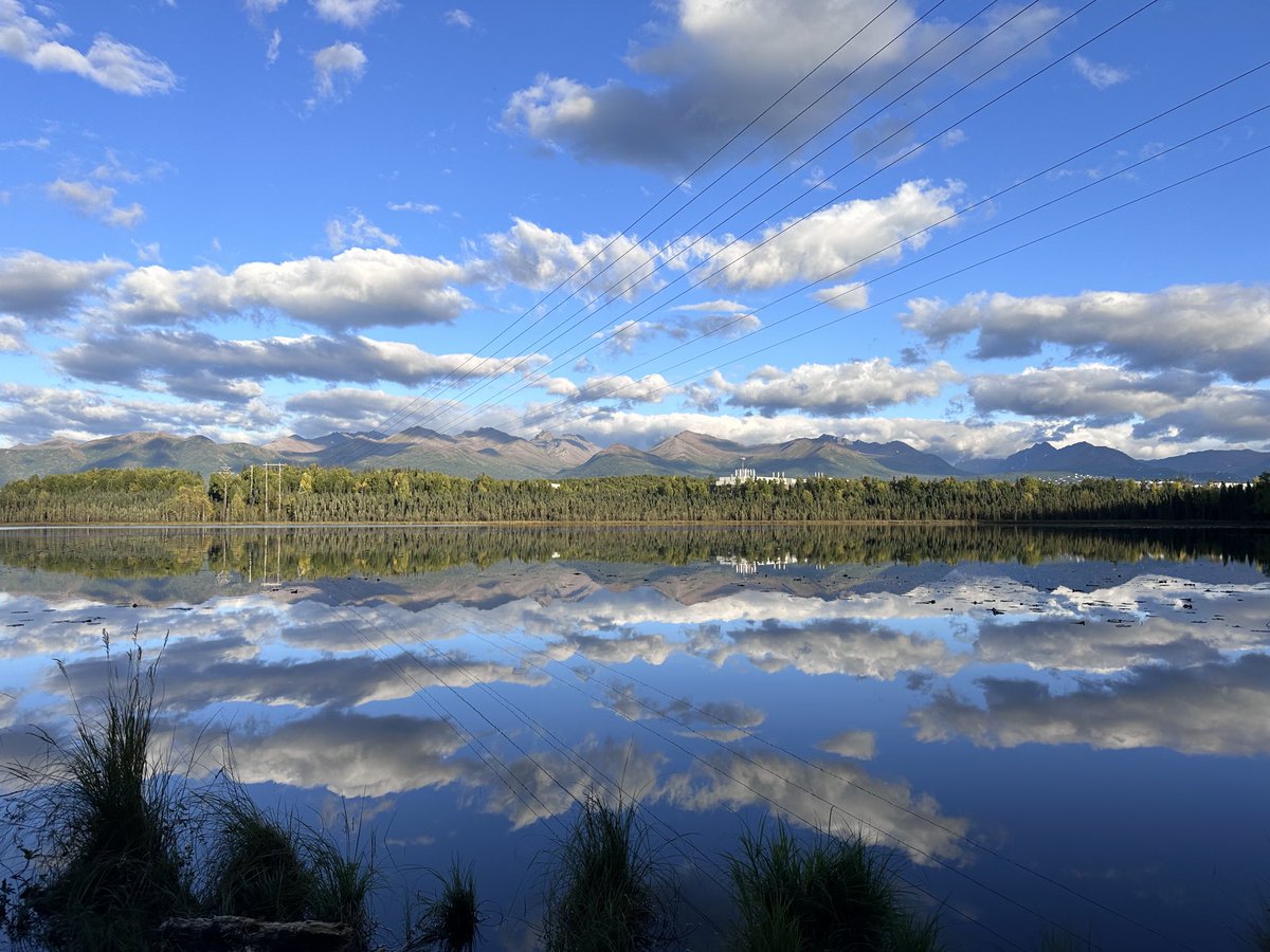 jawkneedango's tweet image. What a nice night #gooselake #anchorage #alaska