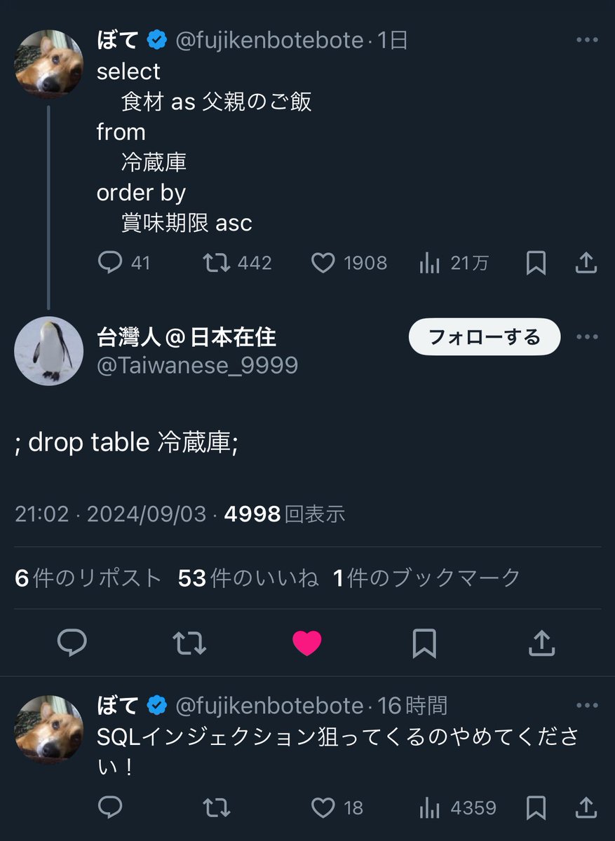 ℍ𝔸𝕃@娘と猫と個人開発 tweet media