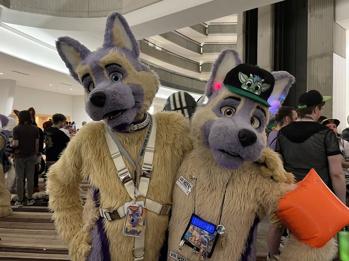 dershep tweet media