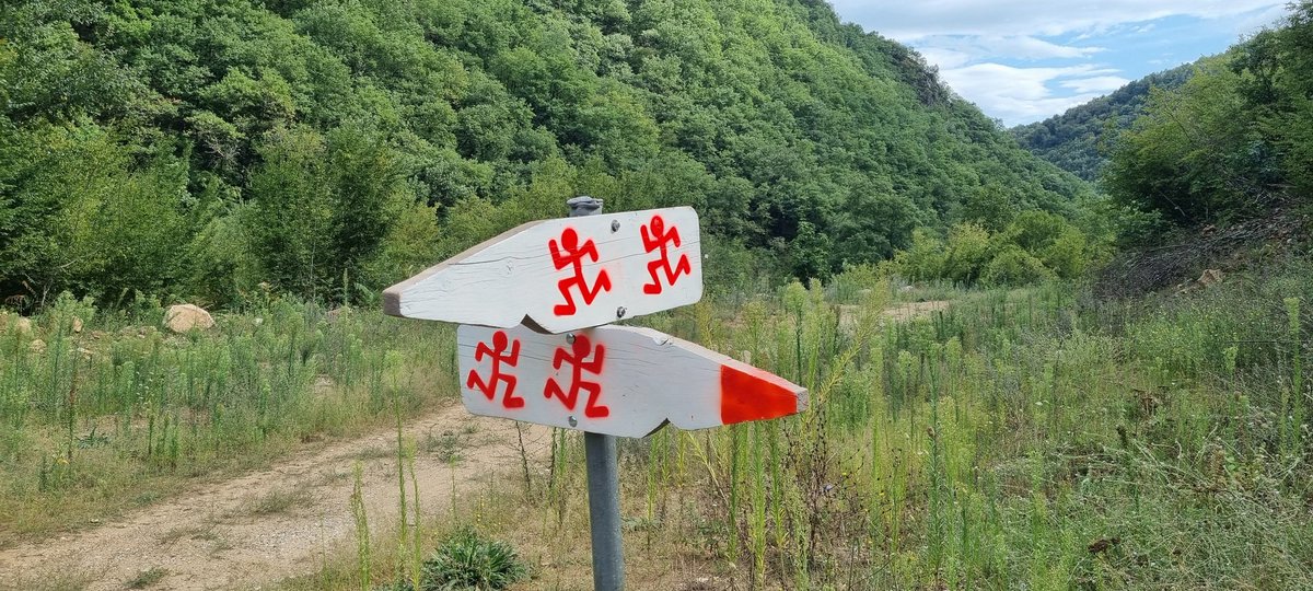 Two roads diverged in a wood, and I-
I took the one less traveled by.
And that has made all the difference.