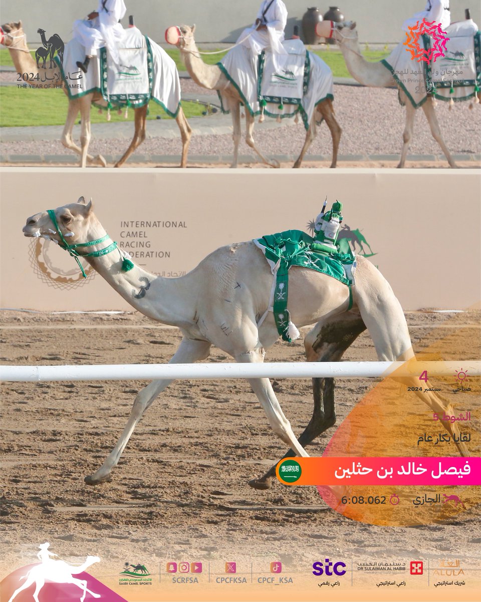 أشواط الفترة الصباحية للسباق النهائي:

🐪 الجازي 
◽️ فيصل خالد بن حثلين
🏁 الشوط الخامس (لقايا بكار-عام)
⏱️ 6:08.062
🎥 youtube.com/watch?v=Y1wHOn…

#مهرجان_ولي_العهد_للهجن 2024
#عام_الإبل_2024